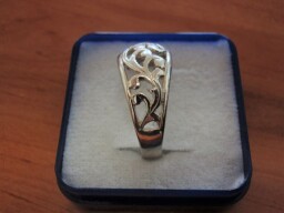 Stříbrný prsten - ormanent