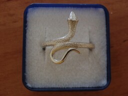 Stříbrný prsten - had