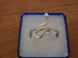 Stříbrný prsten - had