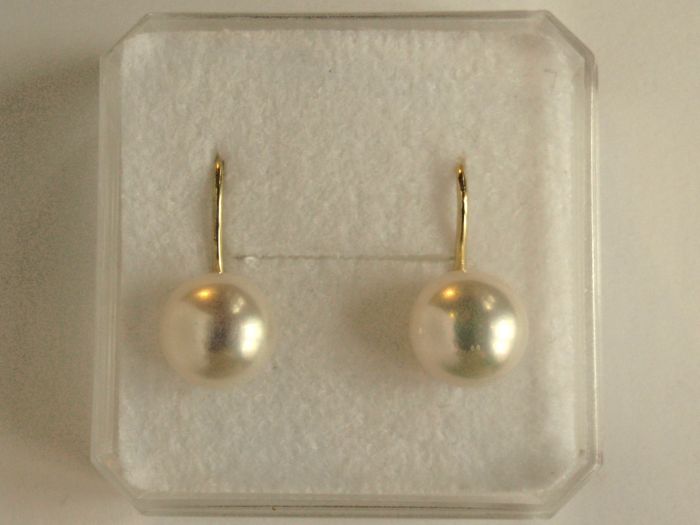Zlaté náušnice na patent - perly 8mm